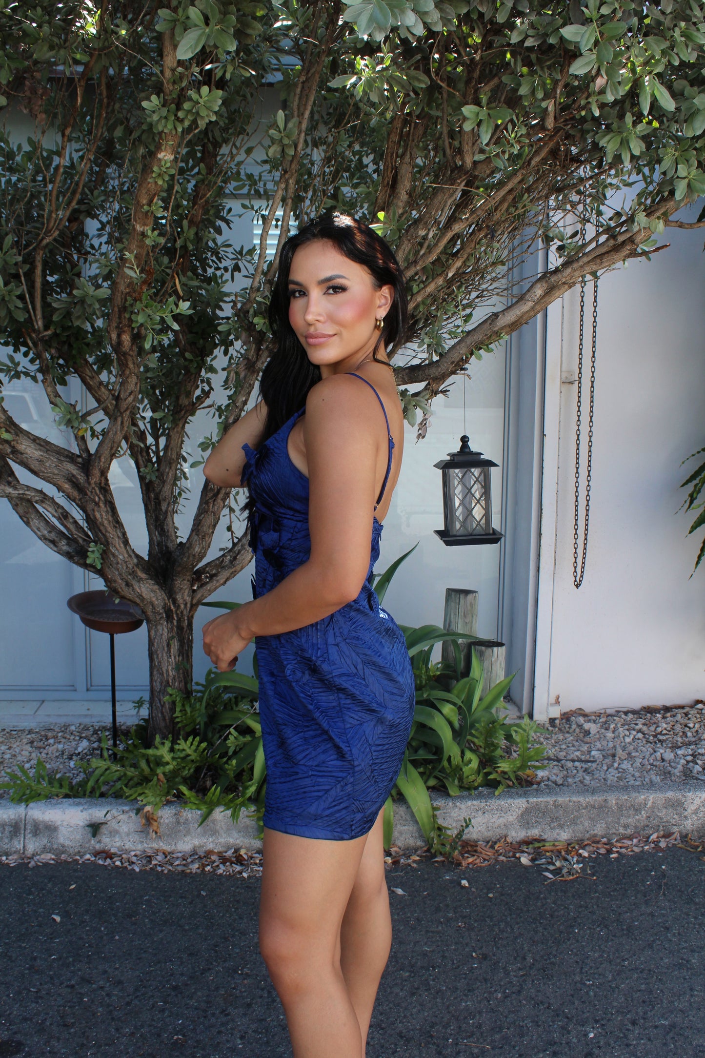 Cleora Dress (Blue)
