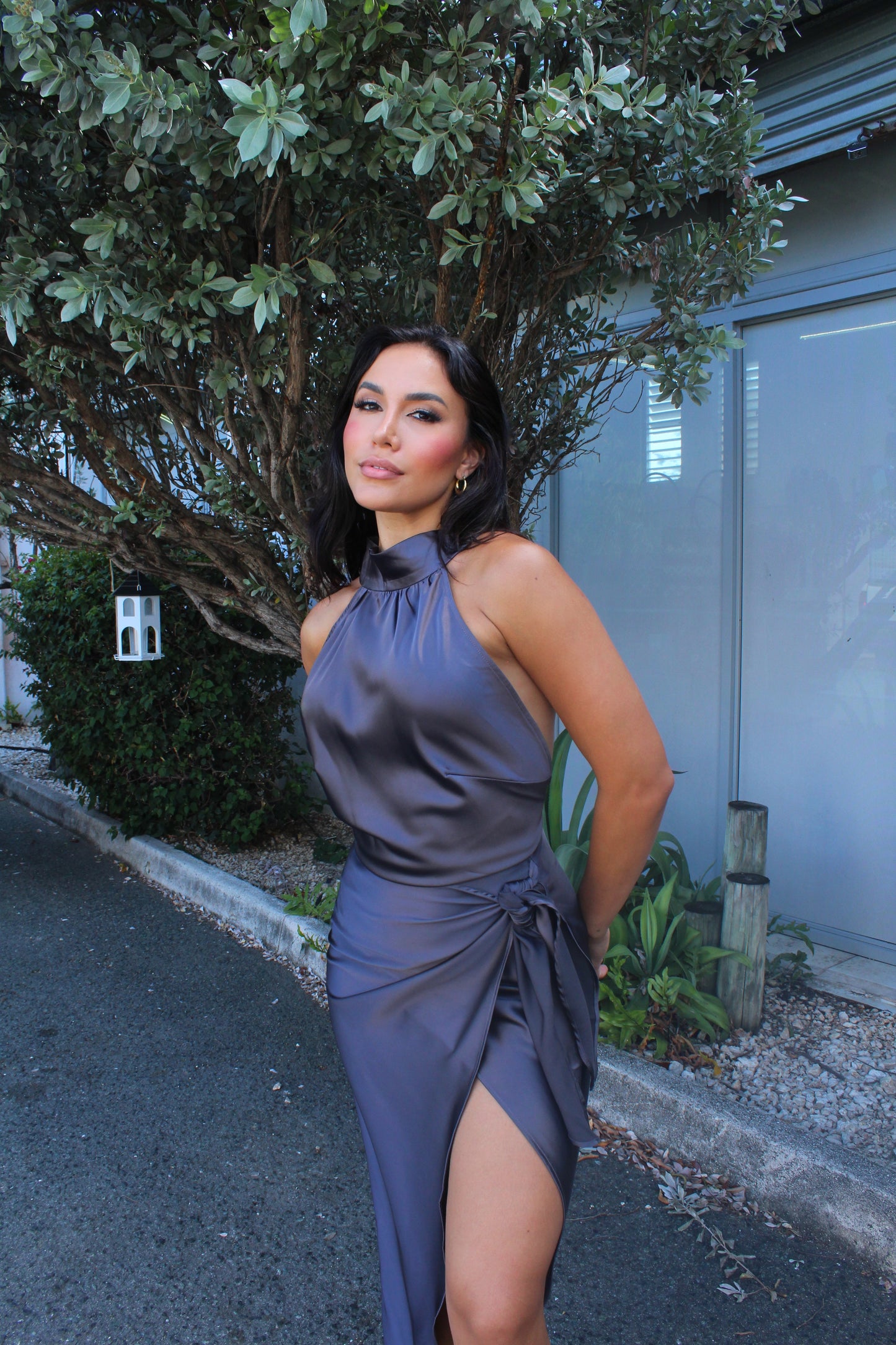 Jolice Silk Dress
