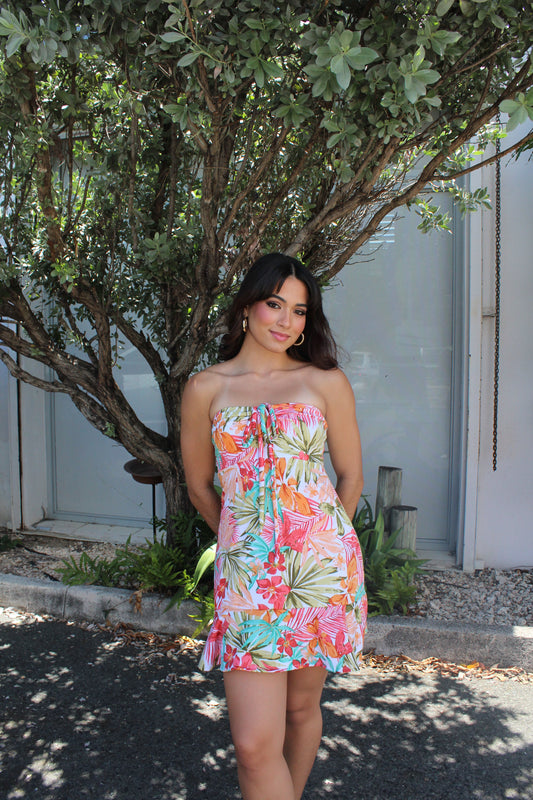 Berisse Mini Dress