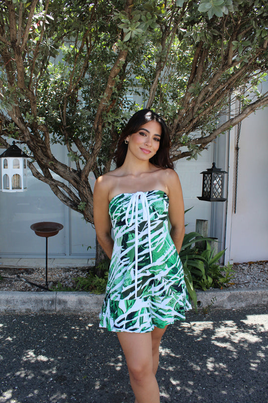 Narella Mini Dress